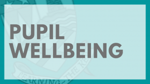 Pupil Wellbeing